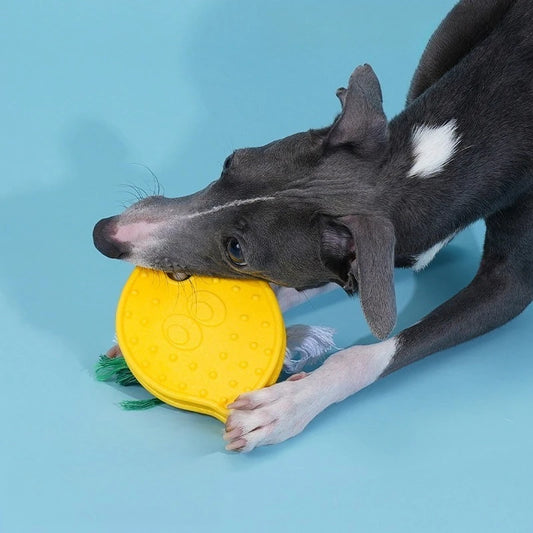 Lemon Dog Chew Toy Durable Teeth Cleaning Interactive Toy Puppy Small Dogs Safe Bite Resistant Pet Molar Rope Toy Boredom Relief