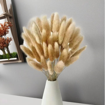 Dried Pampas Grass Set Boho Table Decoration White Rabbit Tail Dried Flowers Rustic Floral Bouquet For Wedding Party Decor