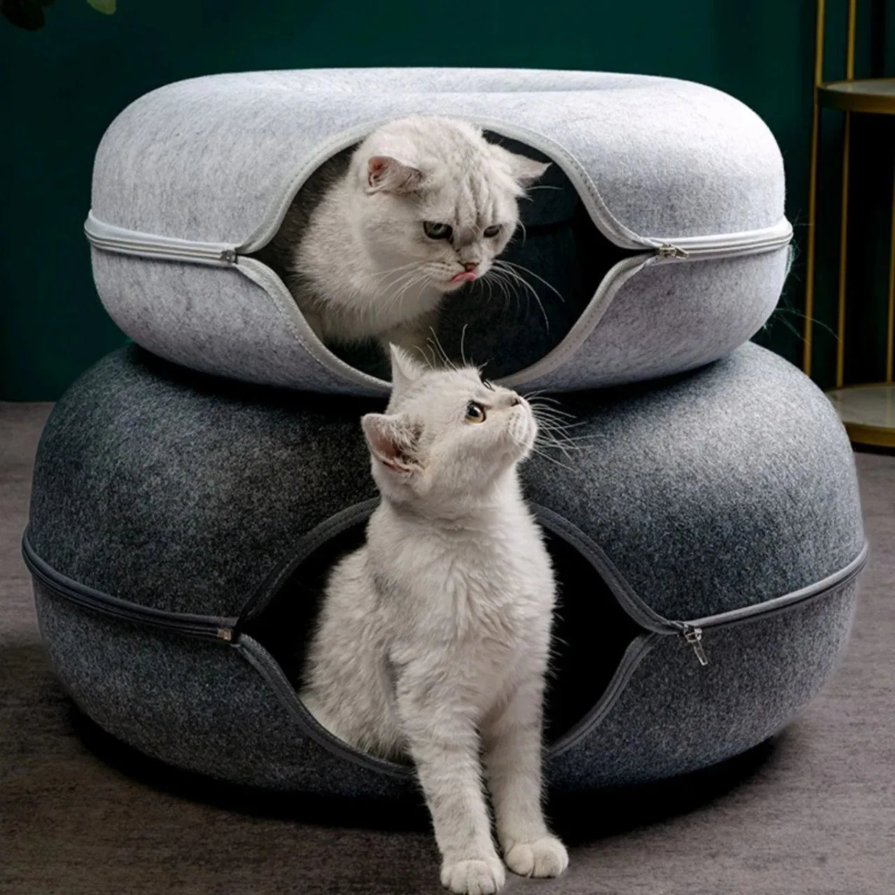 Doughnut-shaped pet cat toy, pet interaction tunnel, indoor toy, cat bed, pet supplies
