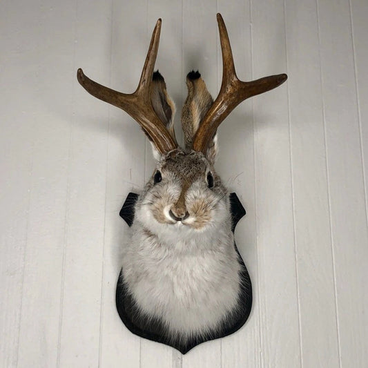 3D Antlers Rabbit Head Statue Home Decor Figurines Wall Hang Decoration Animal Statues Living Room Art Craft