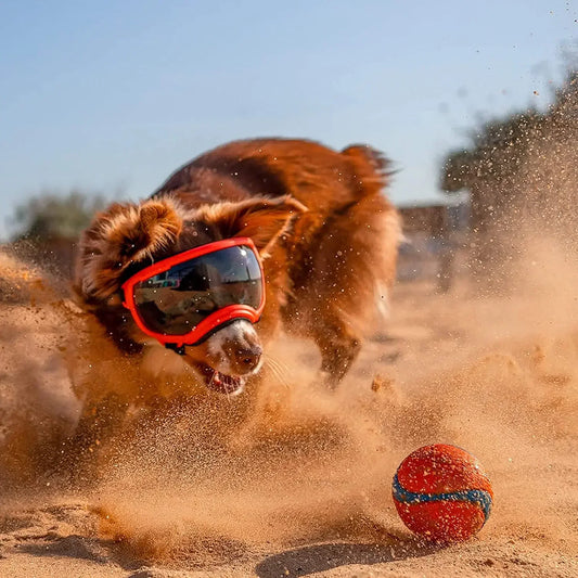 ATUBAN Dog Goggles Pet Glasses Anti UV Strong Impact Resistance Adjustable Puppy Large Breed Goggles Breathable Pet Sunglasses