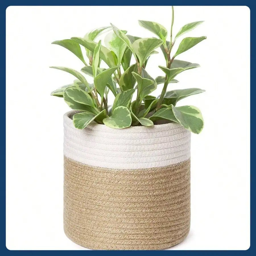 Small Cotton Rope Plant Basket Woven Plant Coil Basket for Flower Pots, Desktop Storage Box Home Decor, White and Beige