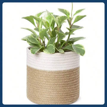 Small Cotton Rope Plant Basket Woven Plant Coil Basket for Flower Pots, Desktop Storage Box Home Decor, White and Beige