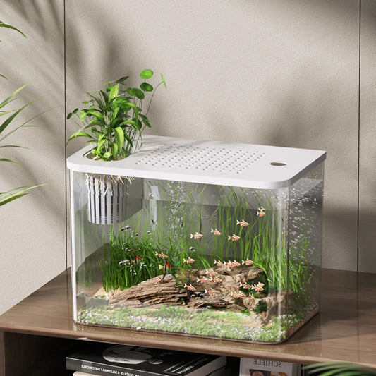 PET+ABS Transparent with Lid Aquarium Drop Resistant Hydroponic Tank Turtle Tank Fish Tank
