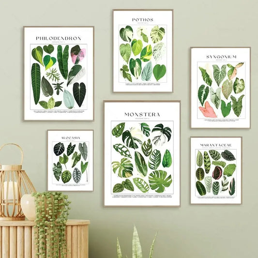 Classic Minimalist Wall Art Tropical Plants Floral Botanical HD Canvas Print Poster Home Living Room Bedroom Decoration