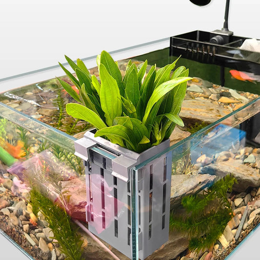 3pcs Aquarium Plant Holder with Hooks and Suction Cups for Fish Tank Aquaponic Plant Cultivation and Aquascape Decorations
