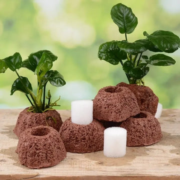 Aquatic Water Plant Fixed Rings Landscape Ceramic Pottery Plant Pot Gravity Ring for Fish Tank Decoration Aquarium Accessories