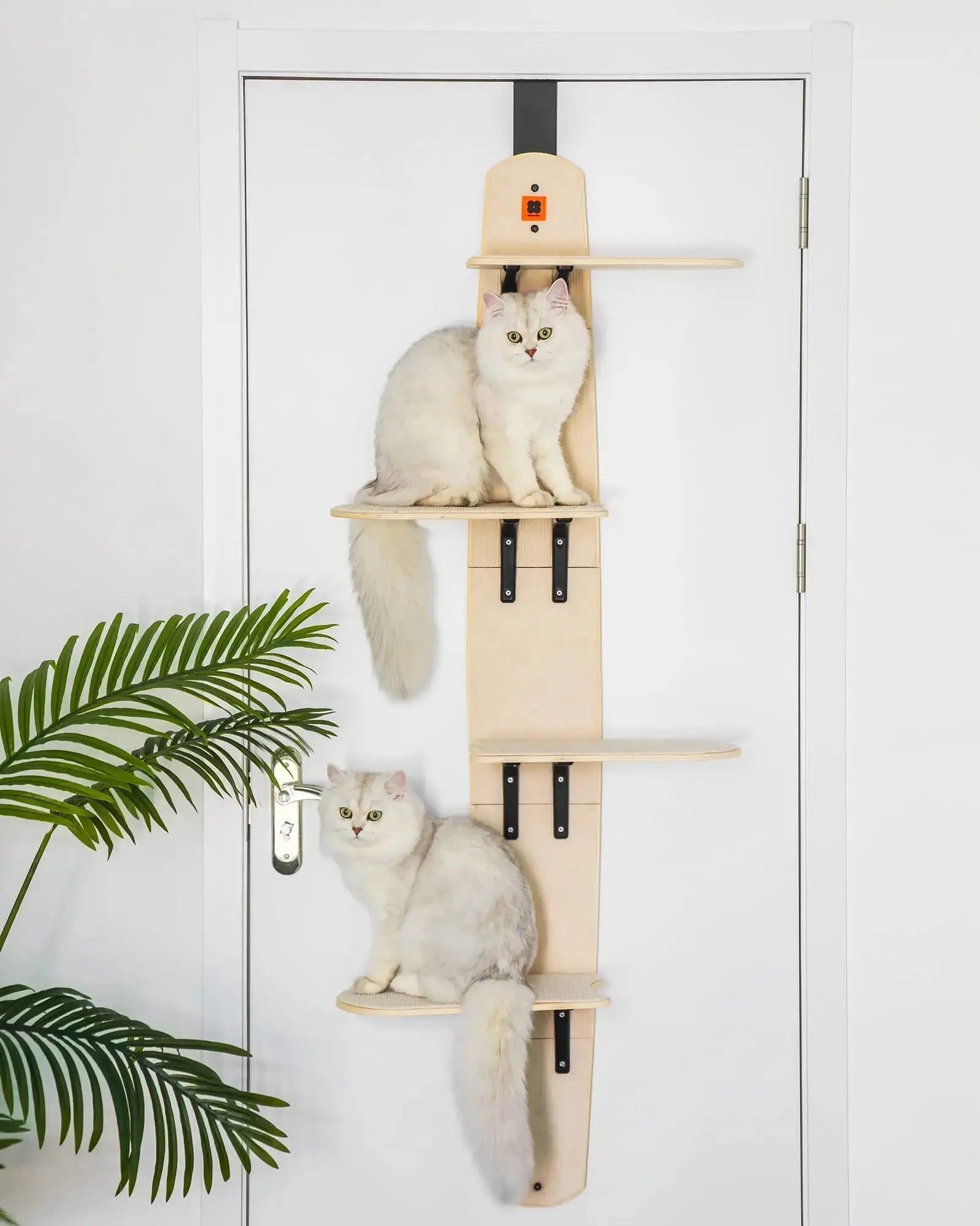 Mewoofun 4-Levels Door Hanging Cat Climber Door Mounted Vertical Cat Tree Tower with Carpeted Plank for Indoor Cats Door Mounted