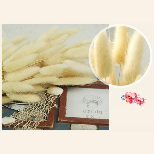 50pcs Dried Rabbit Tail Grass Flowers Artificial Plant Natural Pampa Dried Flower Bouquet Bohemian Decor Wedding Party Home Deco