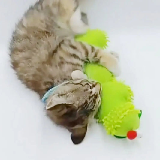 Cat plush toy pet amusing cat to relieve boredom interactive scratch-resistant and bite-resistant green animal toy