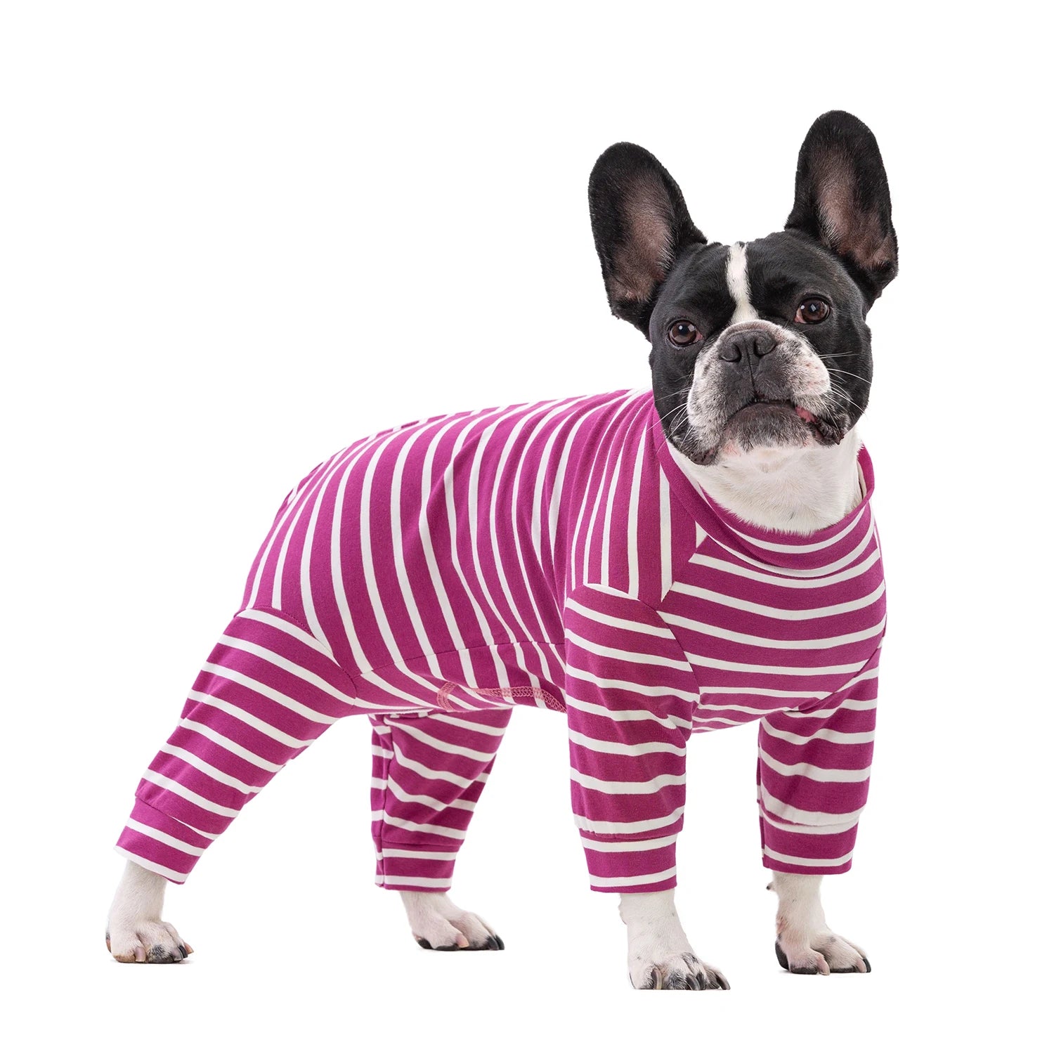 Dog Pajamas for Small Dogs Striped Soft Breathable Pet Recovery Suit Cuttable Belly Full Body Suit for Boy Girl Dogs All Seasons