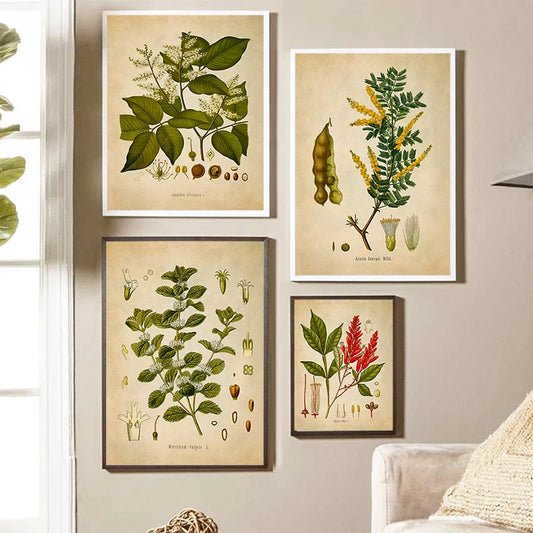 Vintage Style Botanical Illustration Poster Horehound Sictus Tree Saxifrage Berry Canvas Painting Wall Art Picture Home Decor