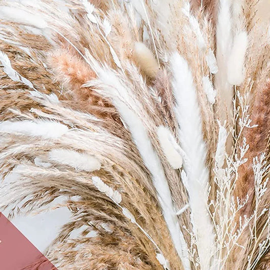 Bohemian Pampas Dried Flower Bundle, Perfect for Home, Wedding Decor & Seasonal Celebrations - Halloween/Winter/Christmas/Autumn