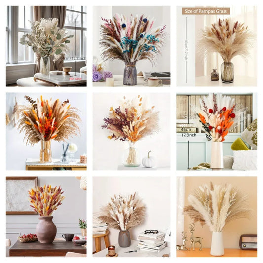 Natural Dried Flowers Pampas Floral Bouquet Boho Country Home Decoration Rabbit Tail Grass Reed Wedding Holiday Party Decor