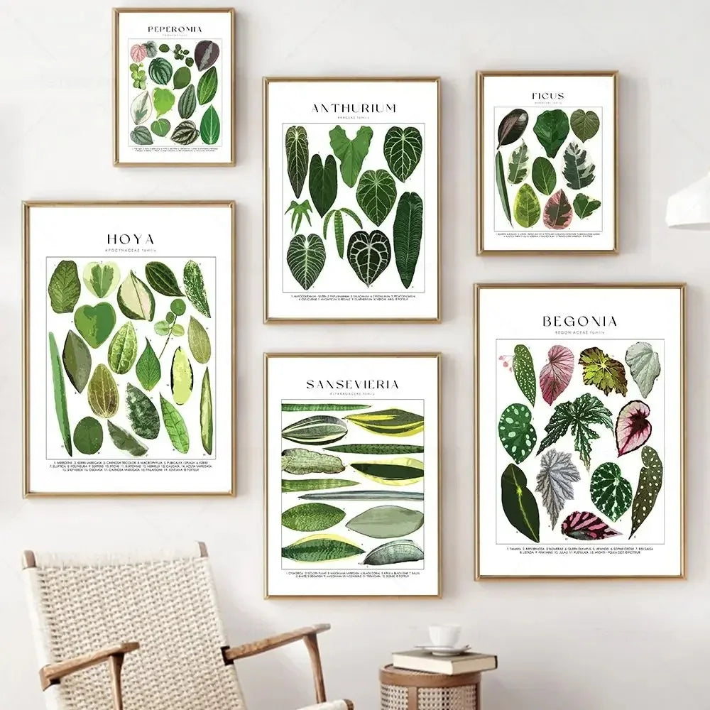 Classic Minimalist Wall Art Tropical Plants Floral Botanical HD Canvas Print Poster Home Living Room Bedroom Decoration