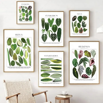 Classic Minimalist Wall Art Tropical Plants Floral Botanical HD Canvas Print Poster Home Living Room Bedroom Decoration