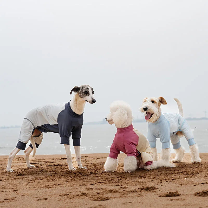 Teddy Chihuahua Sunscreen Coat Dog Thin all Inclusive Cooling Coat Summer Puppy Small Dog Outdoor Breathable Shirt Clothes