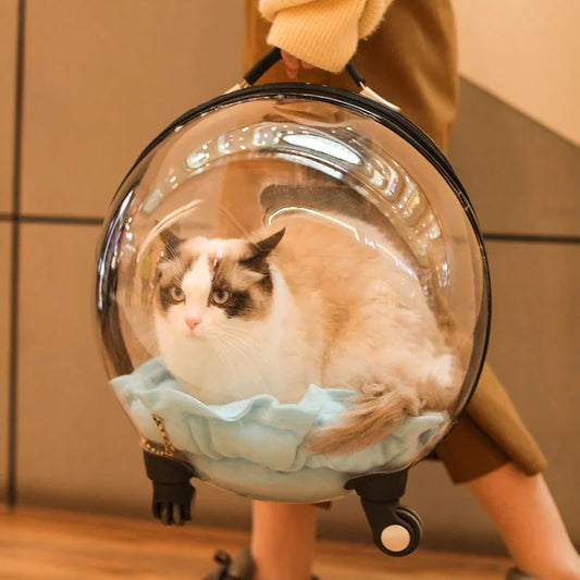 Cat Bag Out Portable Cart Case Space Capsule Cat Backpack Diaper Bag Large Capacity Transparent Pet Suitcase