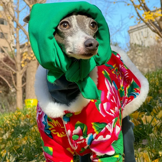 Chese Style Red Thicken Cotton Floral Penadded Jacket for Italy Greyhound in Winter Bedlington Poodle Warm Coat Mid Dog Supplies