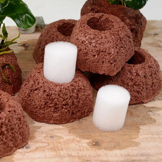 Aquatic Water Plant Fixed Rings Landscape Ceramic Pottery Plant Pot Gravity Ring for Fish Tank Decoration Aquarium Accessories