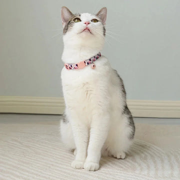Leash Material Cat Accessories Petty Large Cats Collar Leather Harness Pet Products Retractable Collars Supplies Pets Accessory