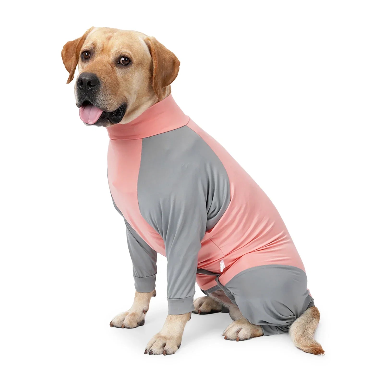 Pet Recovery Suit Dog Pajamas High Elasticity Comfortable Convenient Home Wear Jumpsuit Clothing For Small Medium Dogs