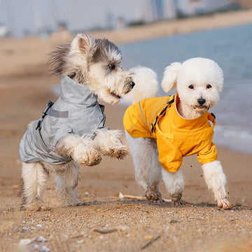 Pet Outdoor Dog Raincoat Reflective Waterproof Pet Spring Clothes Small Medium Dogs Hoodie Chest & Back Raincoat Accessories