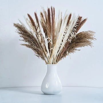 Fall Decor Pampas Grass Decor , Dried Flower Bouquet, Bunny Tails Dried Flowers for Boho Decor, Rustic Home Decor, Room, Wedding