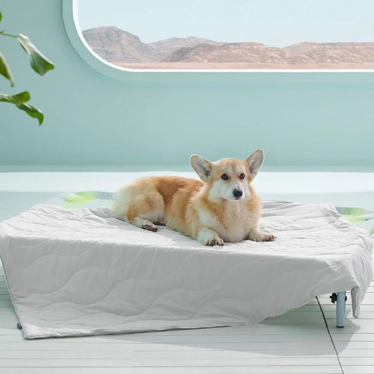 Cooling Blanket Soft Lightweight Blanket Summer Breathable Mat for Pets Dogs Cats