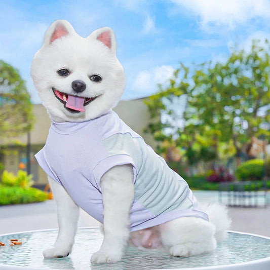 Dog Cooling Vest Lightweight Evaporative Cooling Pet Shirt in Summer Hot Weather Outdoor Hiking Walking Camping Training Hunting