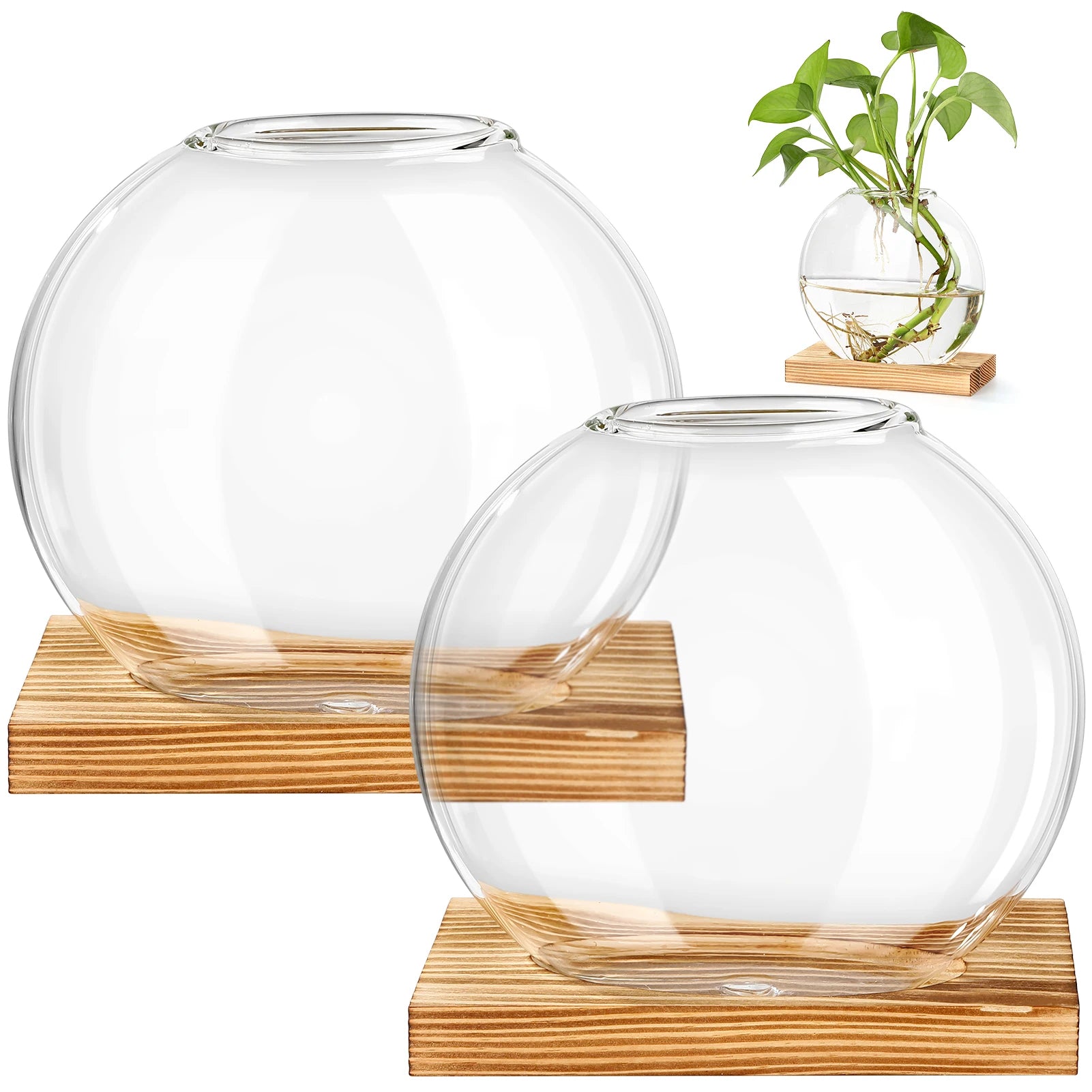 Creative Glass Vase for Hydroponic Pothos Plant Office Desktop Living Room Home Decor Flower Arrangement Container
