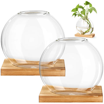 Creative Glass Vase for Hydroponic Pothos Plant Office Desktop Living Room Home Decor Flower Arrangement Container