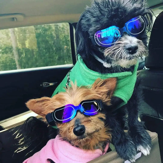ATUBAN Dog Helmet Sunglasses for Small Dogs,UV Protection Dog Glasses Sport Hat for Medium Dogs,for Dog Outdoor Driving Walking