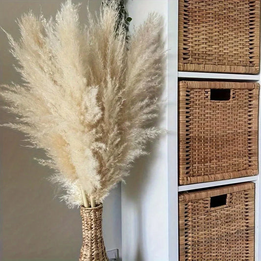 5 Stalks of Tall Fluffy Pampas Grass 39 Inches Tall Pampas Grass Bouquet Weddings Homes Parties Office Valentine Day