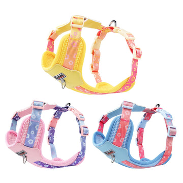 Colorful Gradient Dog Harness Breathable Adjustable for Small Dogs Summer Outdoor Walking No Pull Pet Vest with Leash