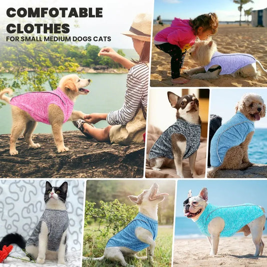 Reflective Dog Vest T Shirt for Dogs Cats Sports Style  Sunscreen Cooling Dog Clothes Chihuahua Bichon Puppy Clothing Dog Outfit