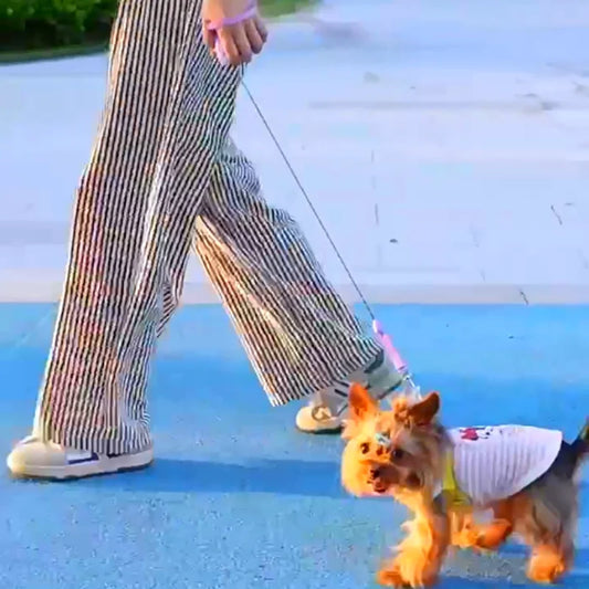 The New Two-color Automatic Telescopic Three-meter Leash Is Available For Walking Dogs And Cats Suitable For Small Dogs And Cat