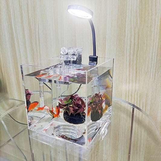 home office desktop transparent acrylic aquarium water grass ecological breeding small water tank, small shrimp, small turtle, s