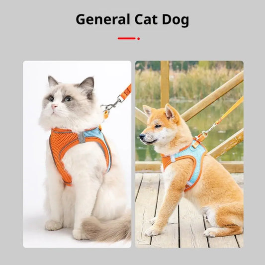 Adjustable Cat Harness and Leash Set Escape Proof For Small Medium Dog Cat Breathable Reflective Kitten Chest Strap Pet Supplies