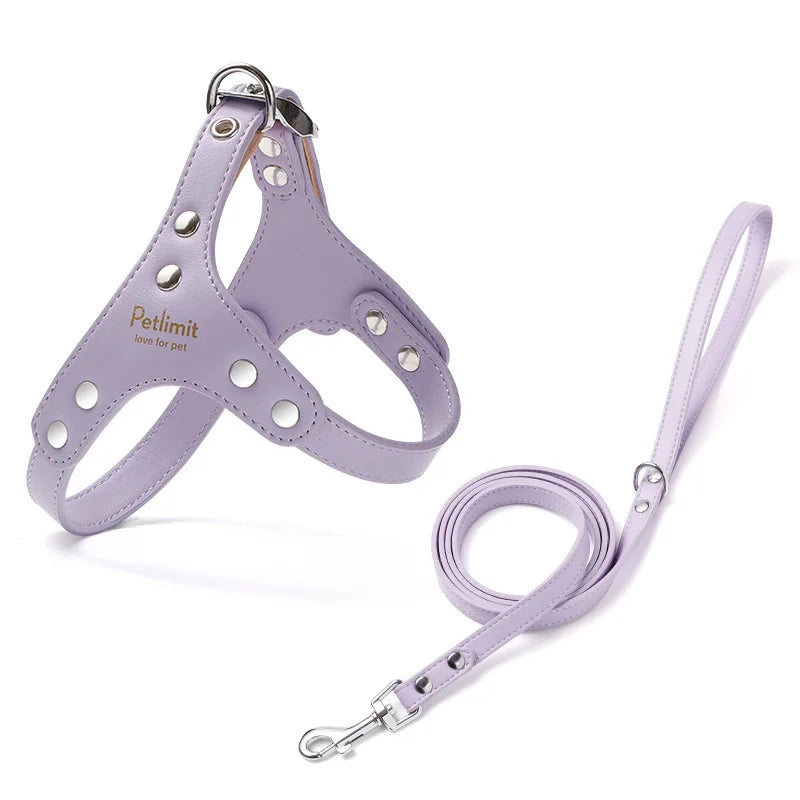 PU Leather Dog Harness and Leash Set with Reinforced Rivets for Small Dogs - Durable Pet Harness Vest Dog Leash
