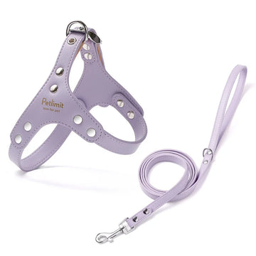 PU Leather Dog Harness and Leash Set with Reinforced Rivets for Small Dogs - Durable Pet Harness Vest Dog Leash
