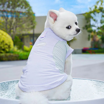 Dog Cooling Vest Lightweight Evaporative Cooling Pet Shirt in Summer Hot Weather Outdoor Hiking Walking Camping Training Hunting