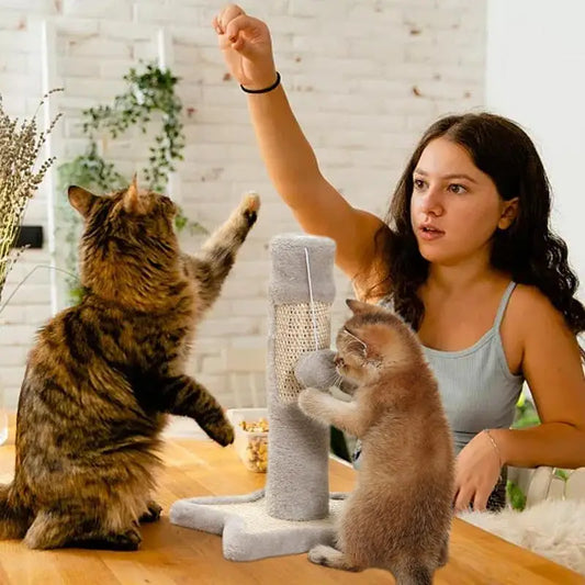 Scratching Post For Indoor Cats Kitten Claw Scratch With Dangling Ball Cat Claw Scratcher Cat Activity Scratcher Interactive Toy