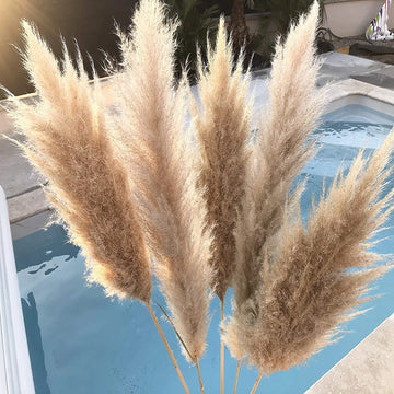 Natural Pampas Grass Bouquet Home Living Room Wedding Party Decoration Plant 40cm Dried Flower Reed DIY Vase