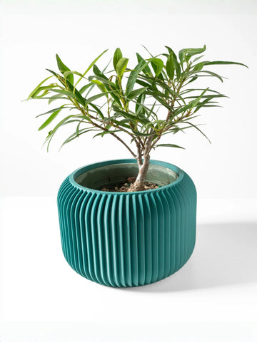 Modern Minimalist 3D Printed Plant Pot – Biodegradable Flower Planter for Home Decor, Eco-Friendly Sustainable Gift (Unis)