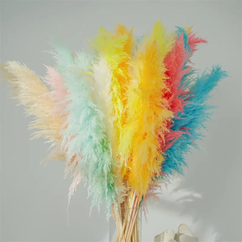 80-120CM Tall Dried Pampas Grass Decor,Large Boho Wedding, Living Room,Farmhouse,Party, Dried Flower Arrangement for Home Events