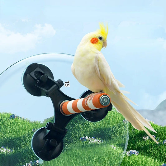 Multi-Functional Perch Stand for Birds with Bird Shower Perch Function Ideal Window Perch for Birds with Secure Suction Cup