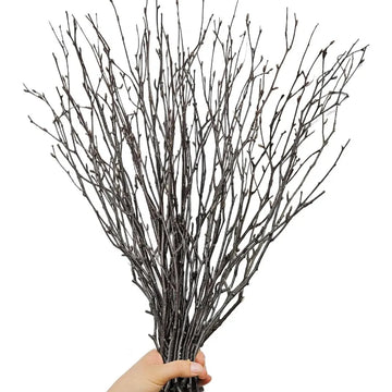 30Pcs Real Dried Birch Twigs 17 tive 100 tural Birch Branches for Easter Vases Curly Willow Branches DIY Floral Arrement Twig W