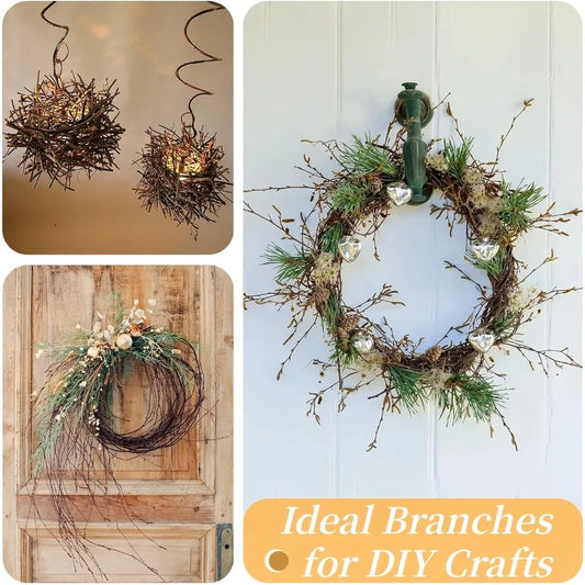 30Pcs Real Dried Birch Twigs 17 tive 100 tural Birch Branches for Easter Vases Curly Willow Branches DIY Floral Arrement Twig W