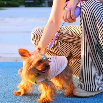 The New Two-color Automatic Telescopic Three-meter Leash Is Available For Walking Dogs And Cats Suitable For Small Dogs And Cat